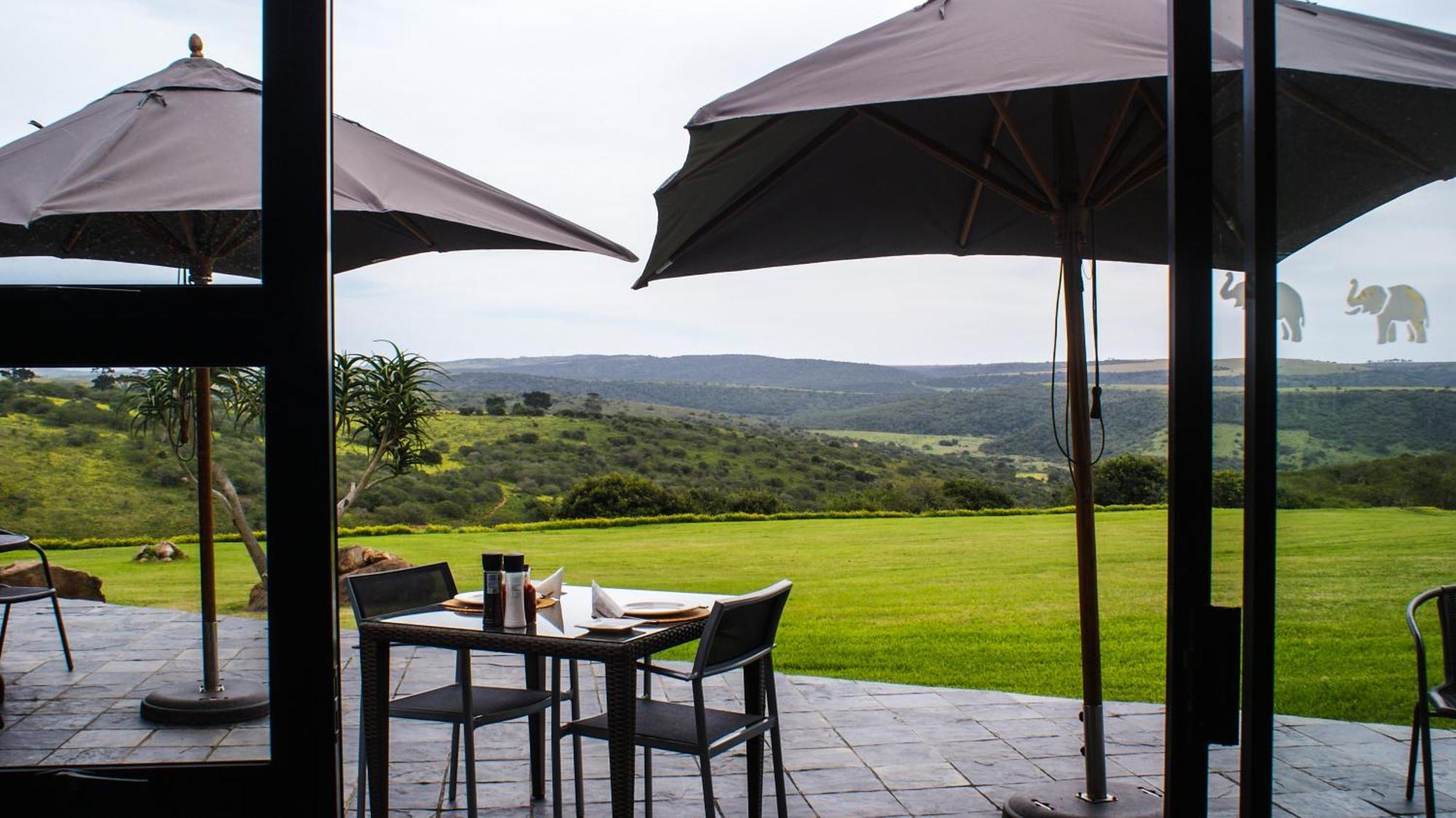 Umbono Private Game Lodge Alexandria  Dış mekan fotoğraf