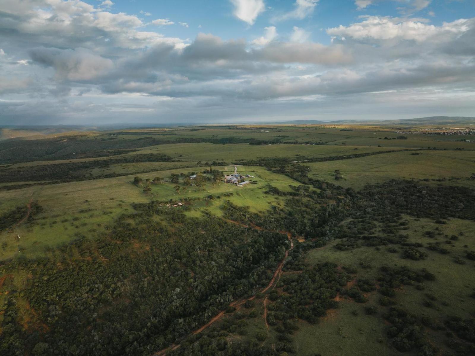 Umbono Private Game Lodge Alexandria  Dış mekan fotoğraf