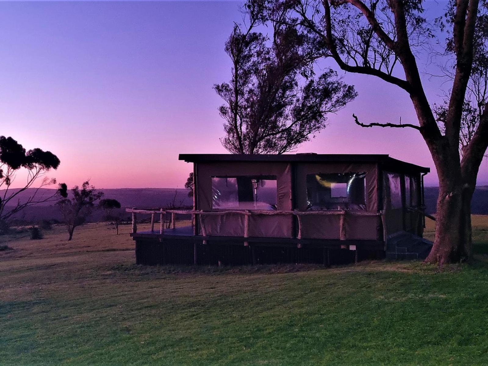 Umbono Private Game Lodge Alexandria  Dış mekan fotoğraf